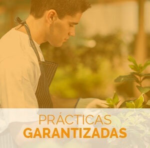 Estudia el Máster en Producción de Semillas y Plantas en Vivero y aprende de este oficio con prácticas garantizadas