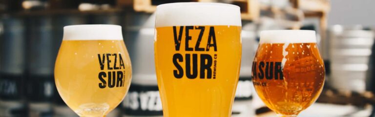 Descubre la cerveza artesanal y los tipos que hay