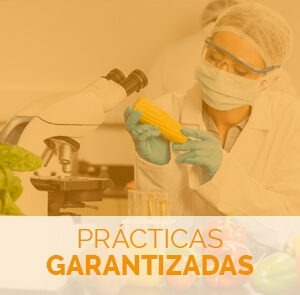 estudiar el curso de biotecnologia alimentaria con prácticas garantizadas