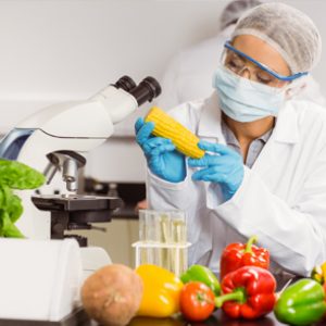 Aprende con el Curso de Biotecnología Alimentaria a crear alimentos y productos más sanos