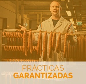 Fórmate con este Curso de Carnicería y Elaboración de Productos Cárnicos y aprende de este oficio con prácticas garantizadas