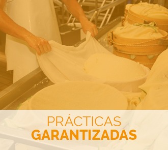 Formarse con el curso de elaboración de quesos con prácticas garantizadas