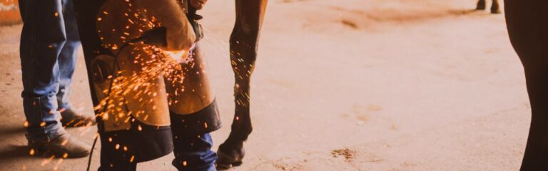Para qué sirve la herradura de caballo y cómo se coloca