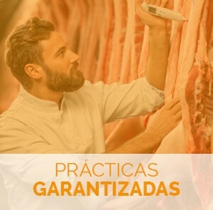 estudiar el curso técnico en despiece de carne con prácticas garantizadas
